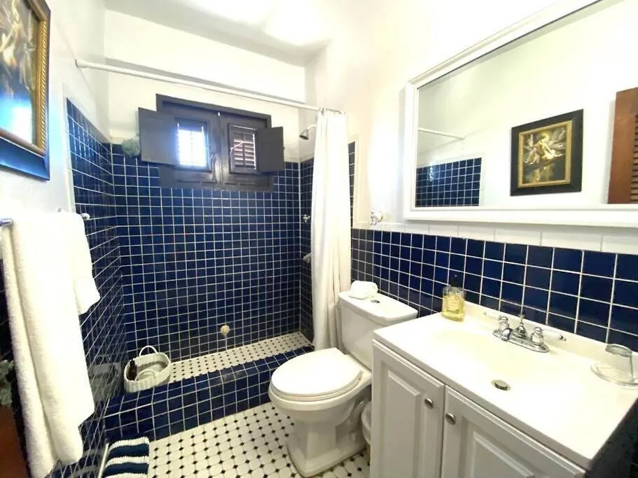 Penthouse With Private Rooftop! San Juan Apartment