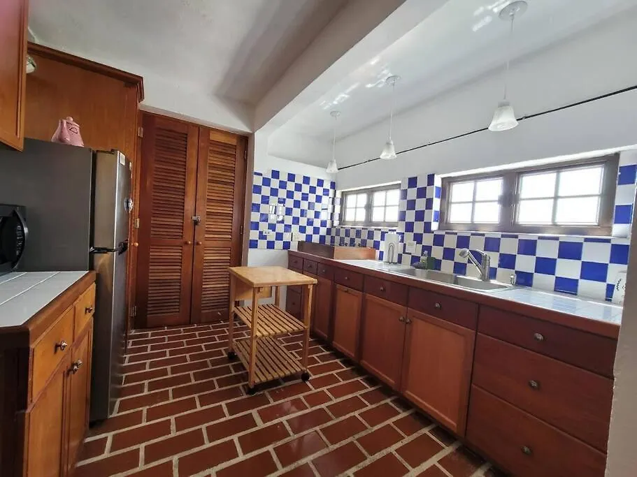Penthouse With Private Rooftop! San Juan Apartment